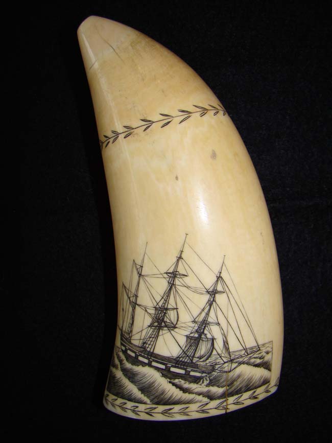 A fine 19th century Scrimshawed Antique Whale's Tooth